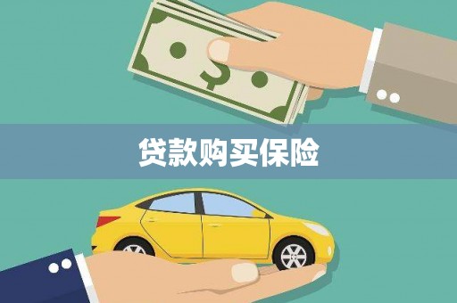 天柱贷款购买保险