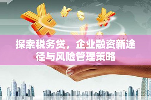 天柱探索税务贷，企业融资新途径与风险管理策略