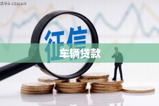 天柱车辆贷款