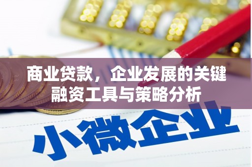 天柱商业贷款，企业发展的关键融资工具与策略分析