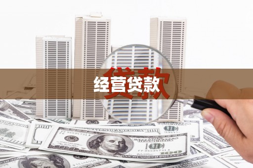 天柱经营贷款