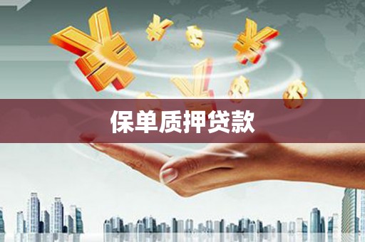 天柱保单质押贷款