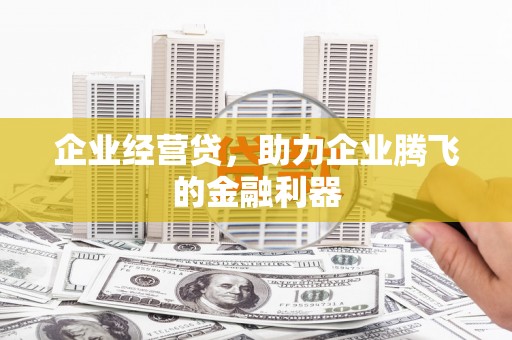 天柱企业经营贷，助力企业腾飞的金融利器