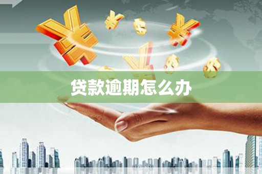 天柱贷款逾期怎么办