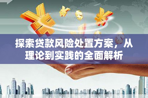 天柱探索贷款风险处置方案，从理论到实践的全面解析