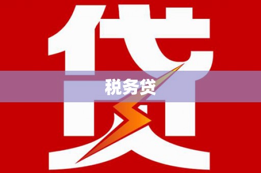 天柱税务贷