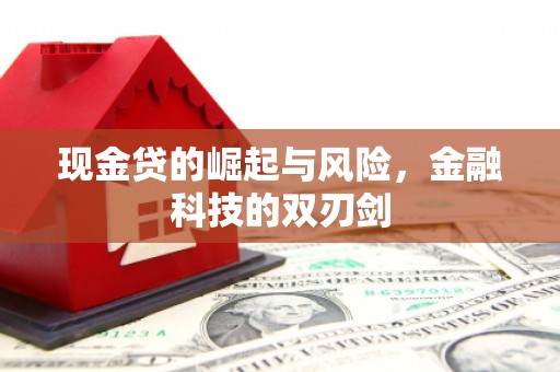 天柱现金贷的崛起与风险，金融科技的双刃剑