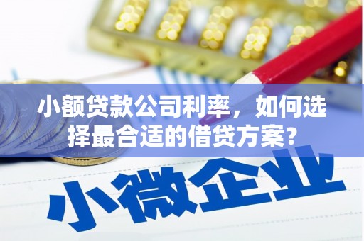 天柱小额贷款公司利率，如何选择最合适的借贷方案？