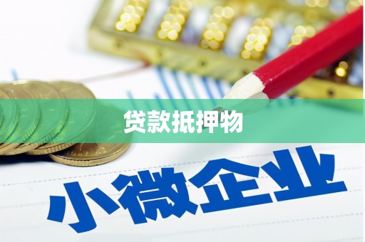 天柱贷款抵押物