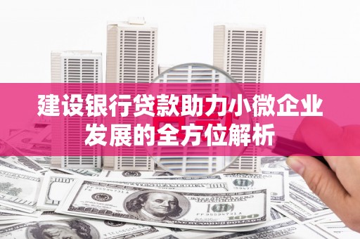 天柱建设银行贷款助力小微企业发展的全方位解析