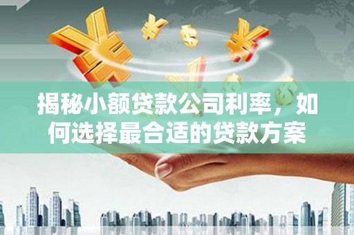 天柱揭秘小额贷款公司利率，如何选择最合适的贷款方案