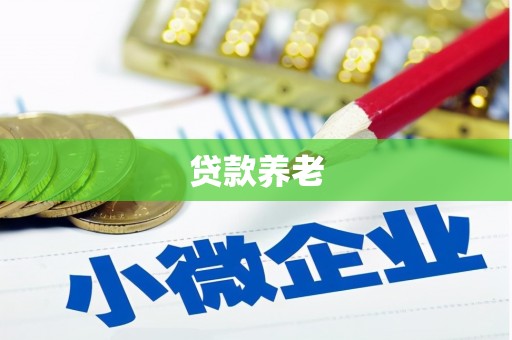 天柱贷款养老