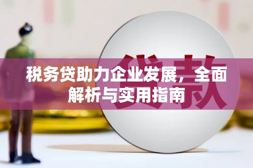 天柱税务贷助力企业发展，全面解析与实用指南