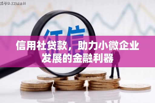 天柱信用社贷款，助力小微企业发展的金融利器