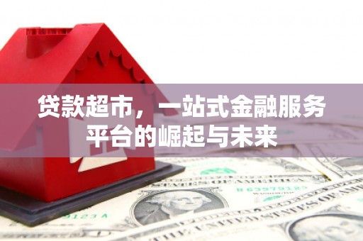 天柱贷款超市，一站式金融服务平台的崛起与未来