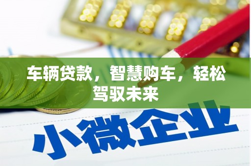 天柱车辆贷款，智慧购车，轻松驾驭未来