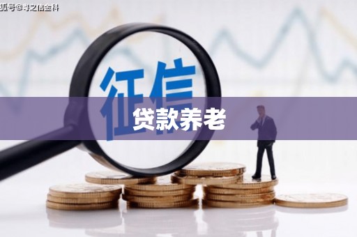 天柱贷款养老