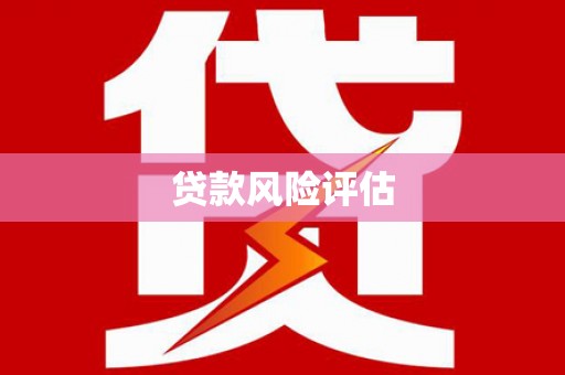 天柱贷款风险评估