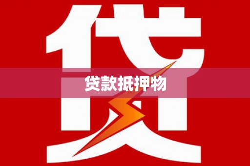 天柱贷款抵押物