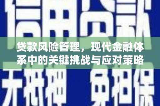天柱贷款风险管理，现代金融体系中的关键挑战与应对策略