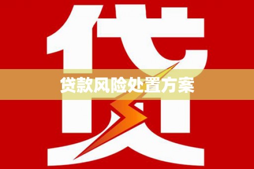 天柱贷款风险处置方案